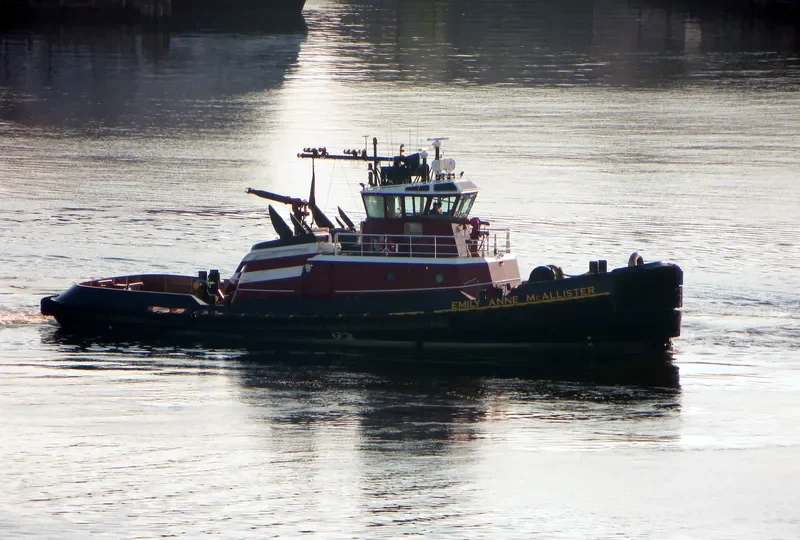 EMILY ANNE MCALLISTER General Cargo IMO 9291834 photo 2