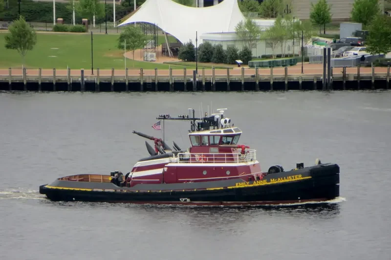EMILY ANNE MCALLISTER General Cargo IMO 9291834 photo 6