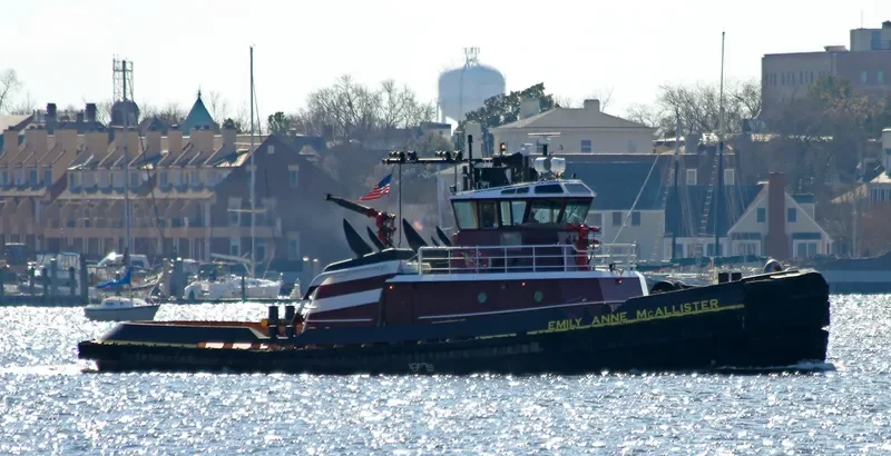 EMILY ANNE MCALLISTER General Cargo IMO 9291834 photo 8
