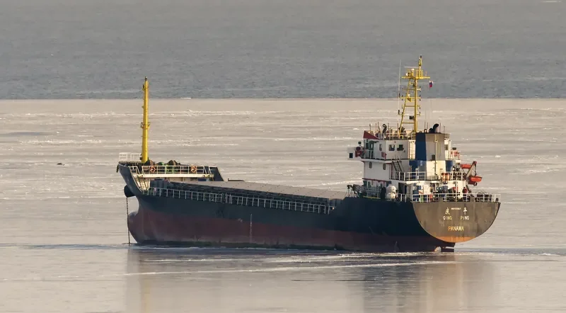 QING PING Bulk Carrier IMO 9291937