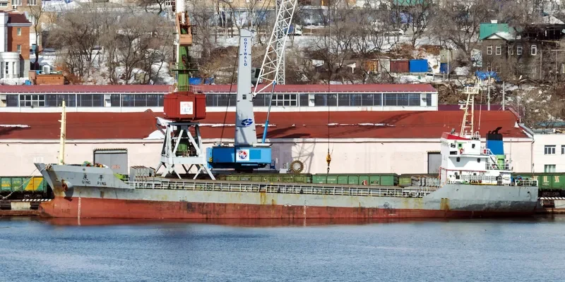QING PING Bulk Carrier IMO 9291937 photo 3