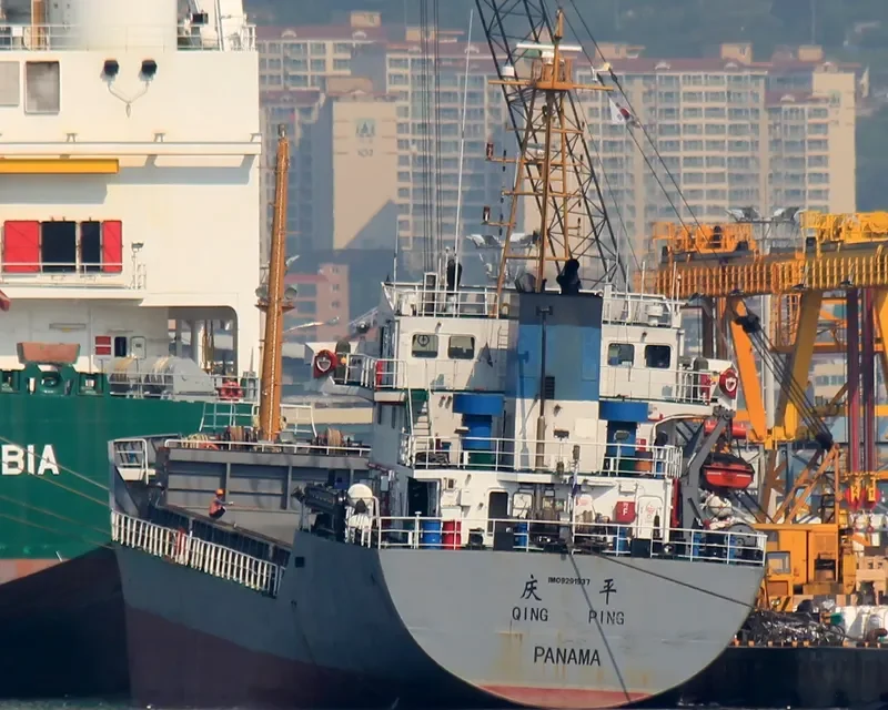 QING PING Bulk Carrier IMO 9291937 photo 5
