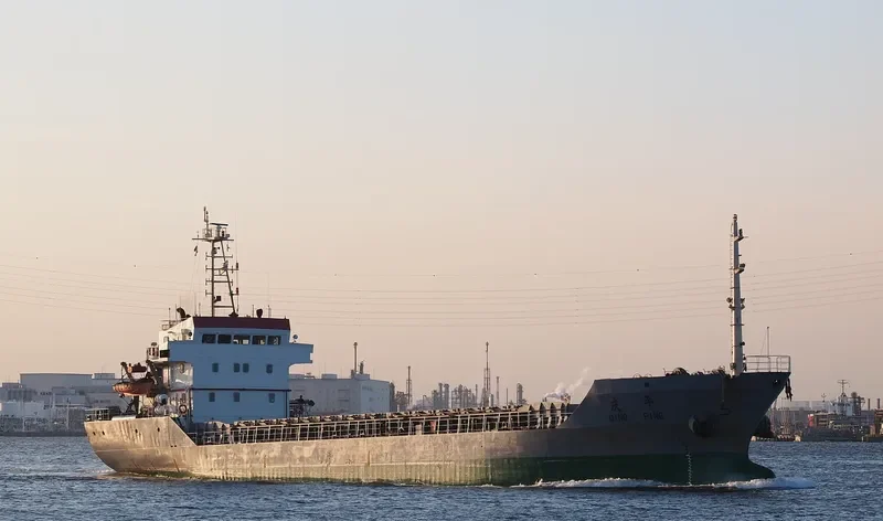 QING PING Bulk Carrier IMO 9291937 photo 7