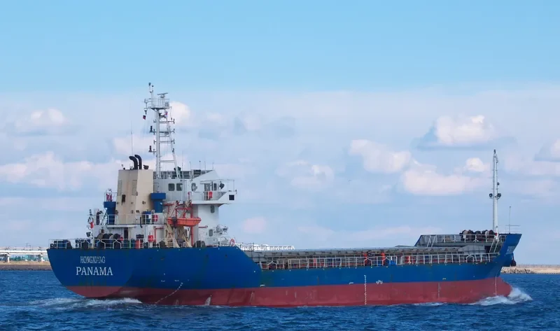 HONGXIANG Bulk Carrier IMO 9291951 photo 2
