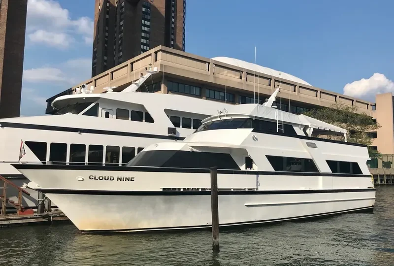 CLOUD NINE Passenger Ship IMO 9292084 photo 5