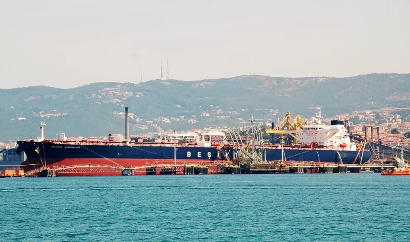 BESIKTAS DARDANELLES Tanker IMO 9292199 photo 10
