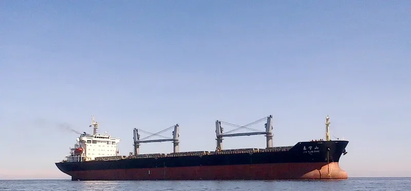 JIA NING SHAN Bulk Carrier IMO 9292553 photo 2