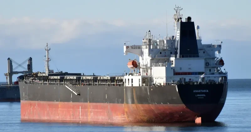 ANASTASIA Bulk Carrier IMO 9292618 photo 2