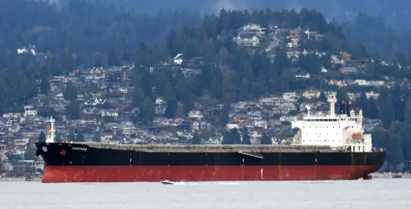 ANASTASIA Bulk Carrier IMO 9292618 photo 3