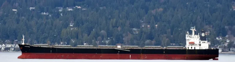 ANASTASIA Bulk Carrier IMO 9292618 photo 4