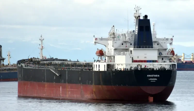 ANASTASIA Bulk Carrier IMO 9292618 photo 5