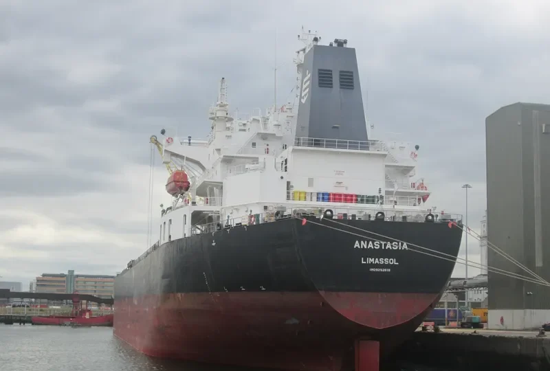 ANASTASIA Bulk Carrier IMO 9292618 photo 6