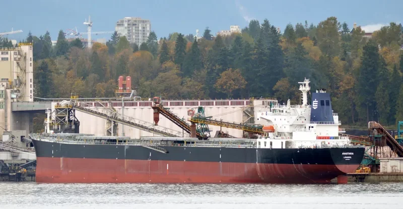 ANASTASIA Bulk Carrier IMO 9292618 photo 9