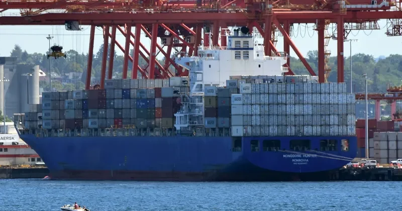 MONGOOSE HUNTER Container Ship IMO 9293167