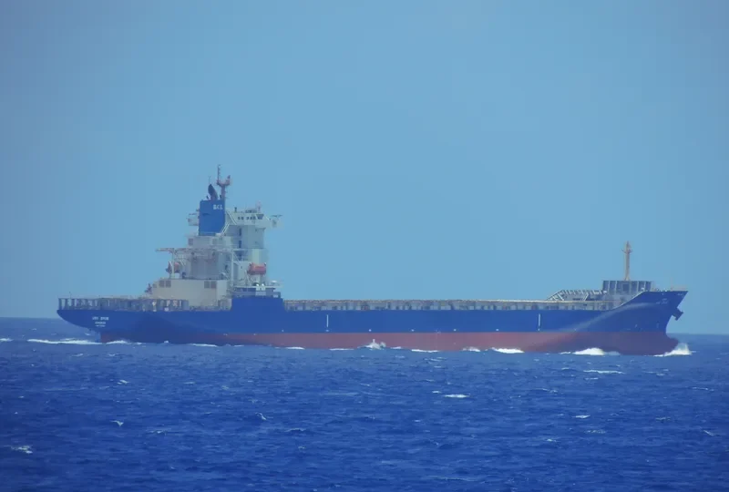 URU BHUM Container Ship IMO 9293234 photo 3