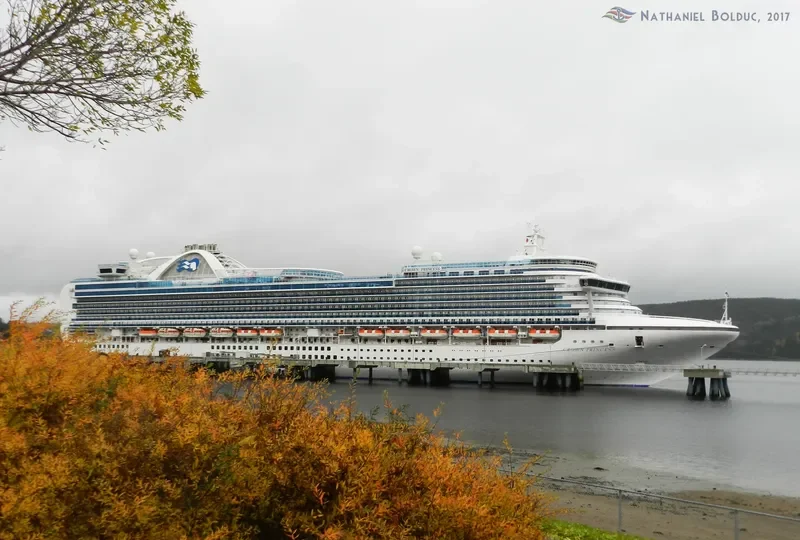 CROWN PRINCESS Passenger Ship IMO 9293399 photo 2