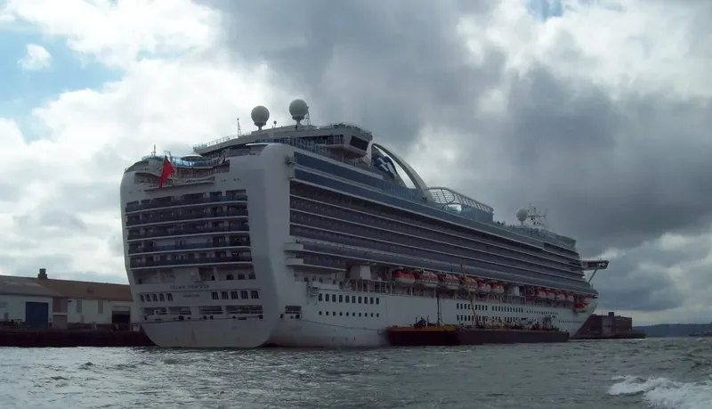 CROWN PRINCESS Passenger Ship IMO 9293399 photo 10