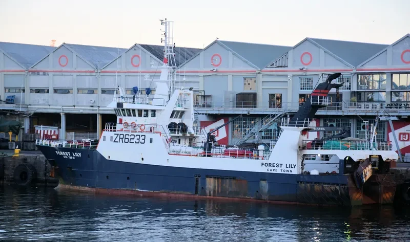 FOREST LILY General Cargo IMO 9293480