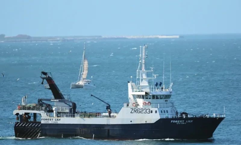 FOREST LILY General Cargo IMO 9293480 photo 2