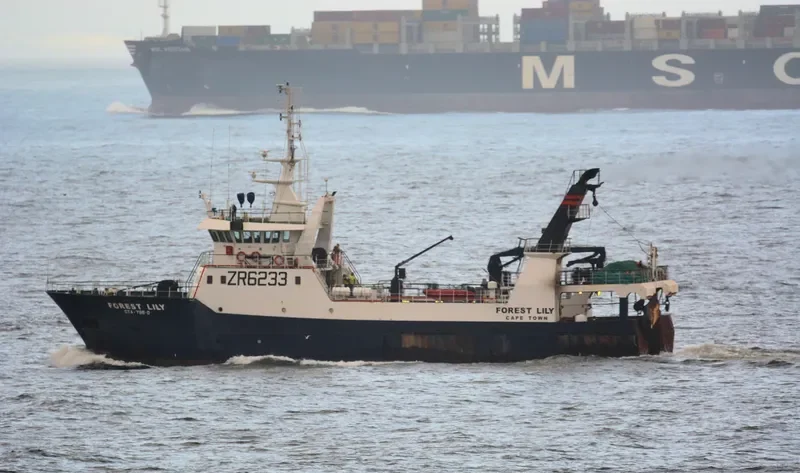 FOREST LILY General Cargo IMO 9293480 photo 3