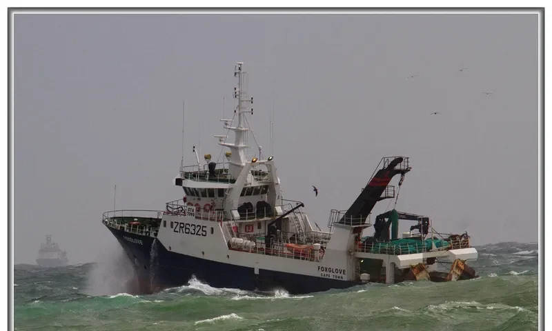 FOXGLOVE General Cargo IMO 9293492 photo 4