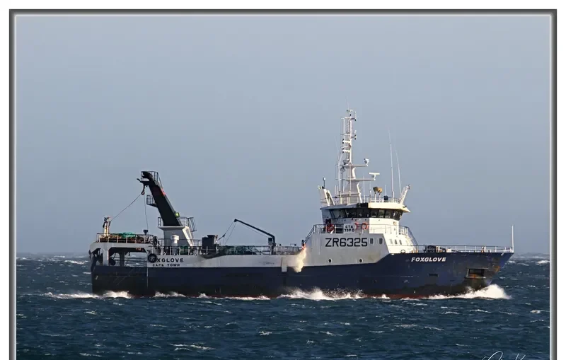 FOXGLOVE General Cargo IMO 9293492 photo 7
