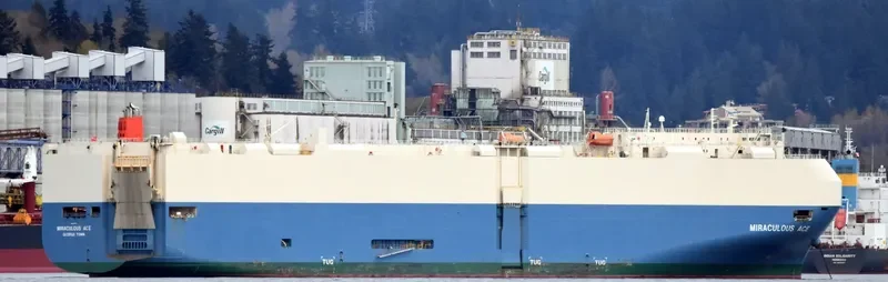 MIRACULOUS ACE General Cargo IMO 9293521 photo 6