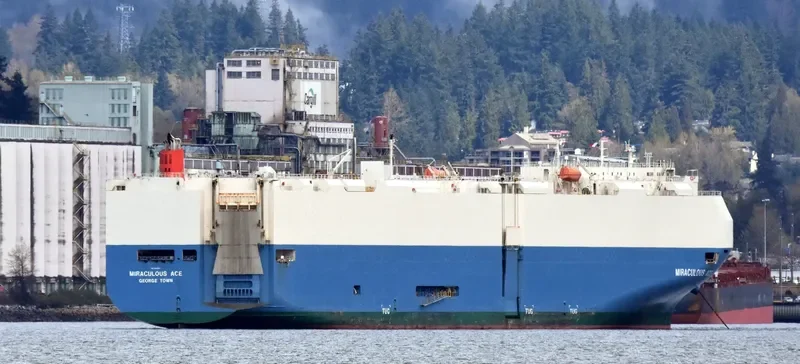 MIRACULOUS ACE General Cargo IMO 9293521 photo 8