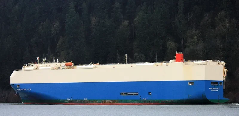 MIRACULOUS ACE General Cargo IMO 9293521 photo 10