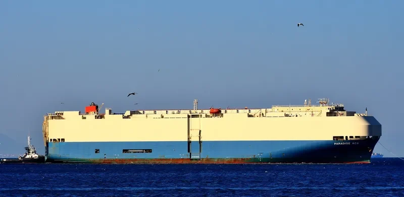 PARADISE ACE General Cargo IMO 9293648