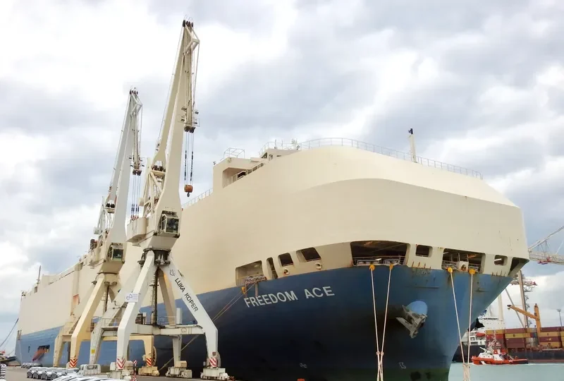 FREEDOM ACE General Cargo IMO 9293662 photo 2
