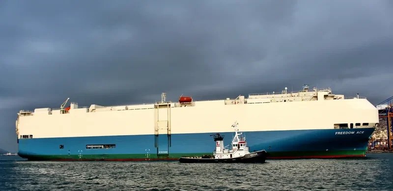 FREEDOM ACE General Cargo IMO 9293662 photo 8