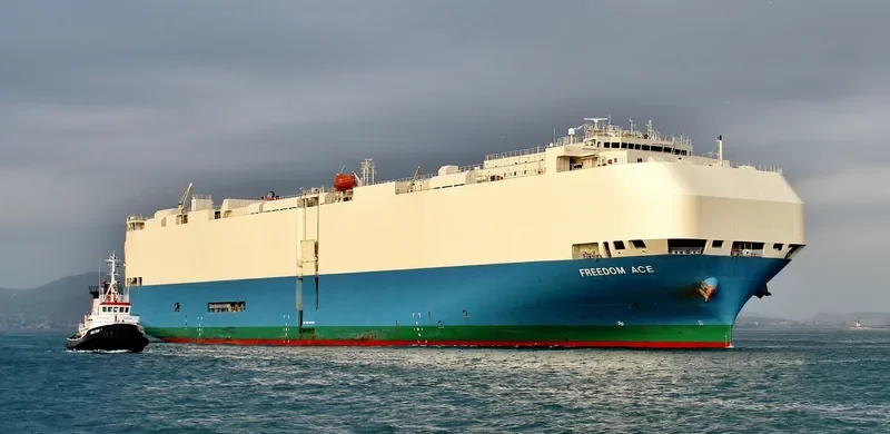 FREEDOM ACE General Cargo IMO 9293662 photo 10