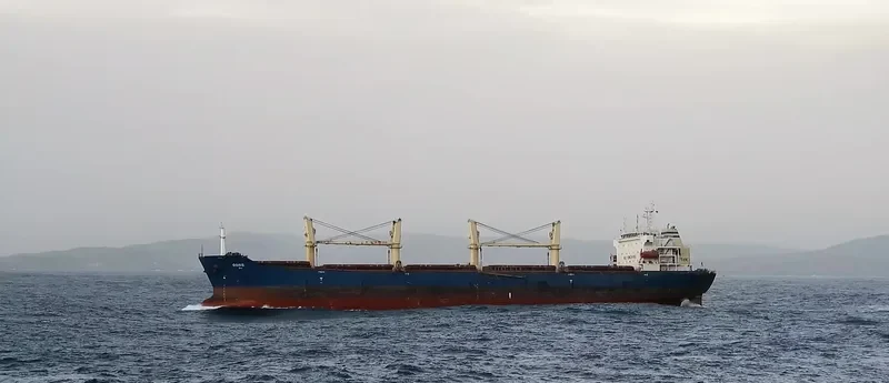 OSIRIS Bulk Carrier IMO 9293674 photo 3