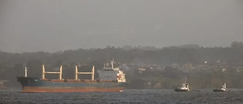 OSIRIS Bulk Carrier IMO 9293674 photo 5