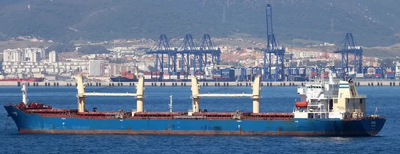 OSIRIS Bulk Carrier IMO 9293674 photo 6