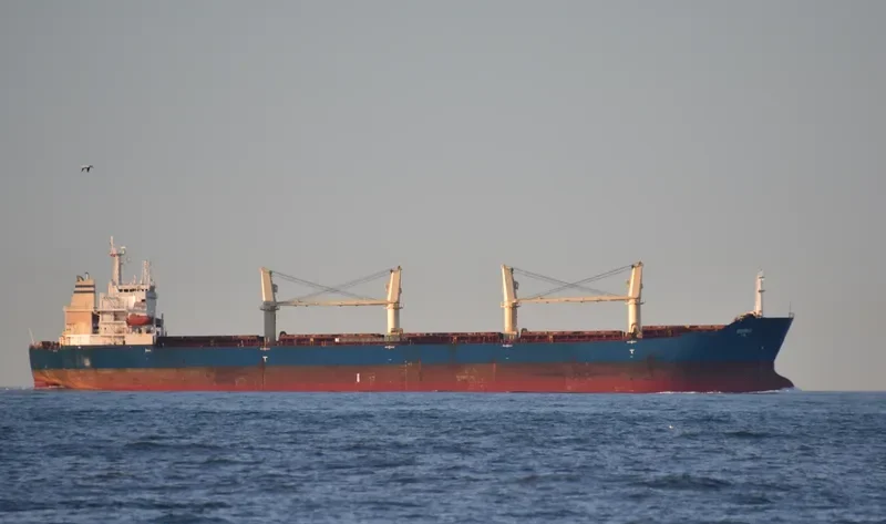 OSIRIS Bulk Carrier IMO 9293674 photo 8