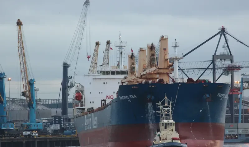 OSIRIS Bulk Carrier IMO 9293674 photo 9