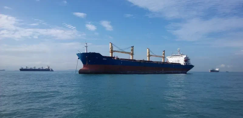 SENDOM Bulk Carrier IMO 9293686