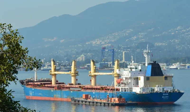 SENDOM Bulk Carrier IMO 9293686 photo 2