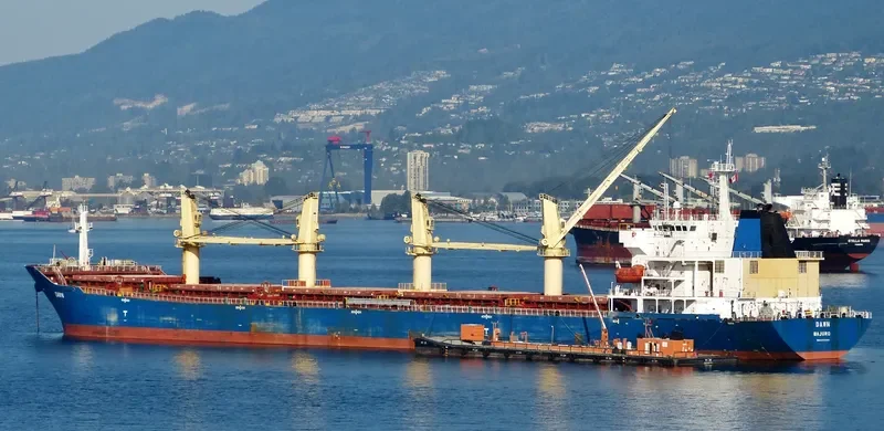 SENDOM Bulk Carrier IMO 9293686 photo 3