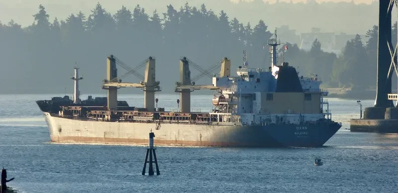 SENDOM Bulk Carrier IMO 9293686 photo 4