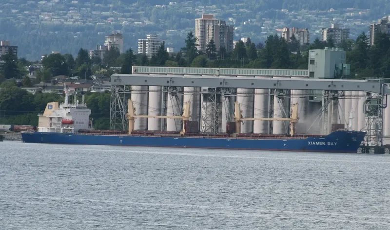 SENDOM Bulk Carrier IMO 9293686 photo 9