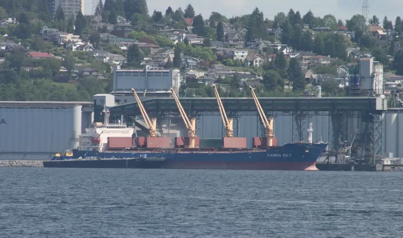 SENDOM Bulk Carrier IMO 9293686 photo 10