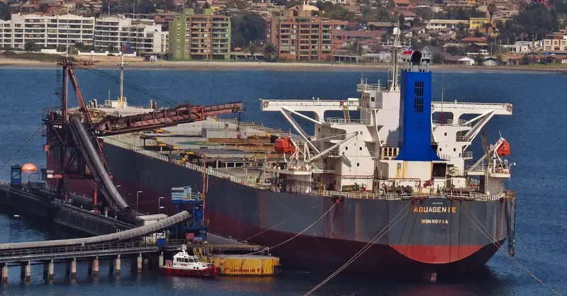 AQUAGENIE Bulk Carrier IMO 9293739 photo 2