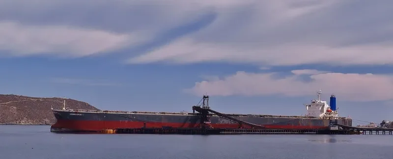 AQUAGENIE Bulk Carrier IMO 9293739 photo 3