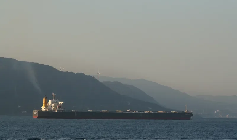 AQUAGENIE Bulk Carrier IMO 9293739 photo 9