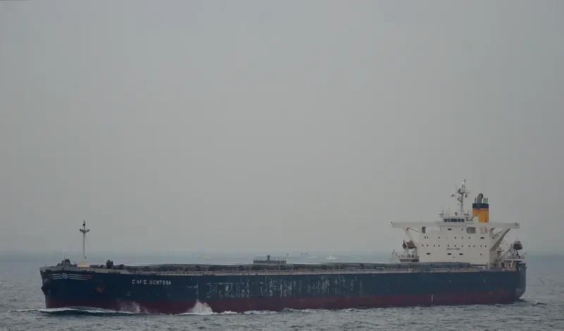 AQUAGENIE Bulk Carrier IMO 9293739 photo 10