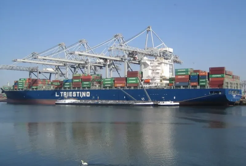 CONTI CORTESIA Container Ship IMO 9293753