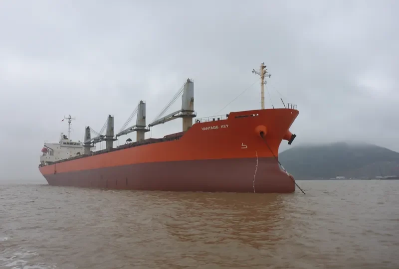VANTAGE KEY Bulk Carrier IMO 9293870